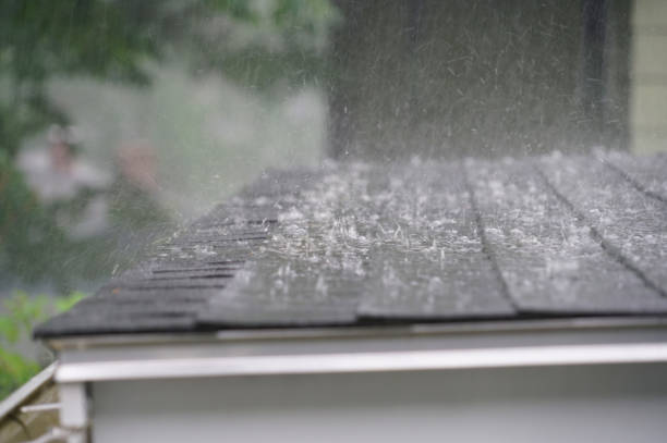 Best Flat Roofing  in Millington, TN