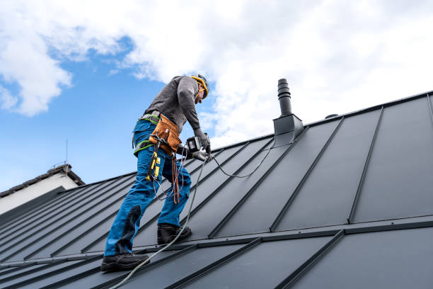 Best Metal Roofing Installation  in Millington, TN